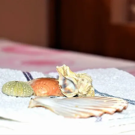 Luisa Apartamento Dobropoljana