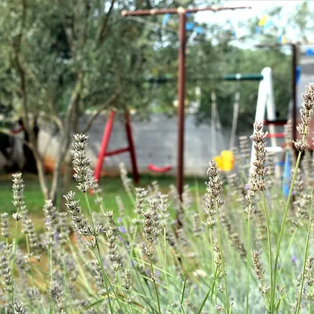 Luisa Apartman Dobropoljana