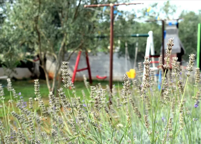 Luisa Apartman Dobropoljana