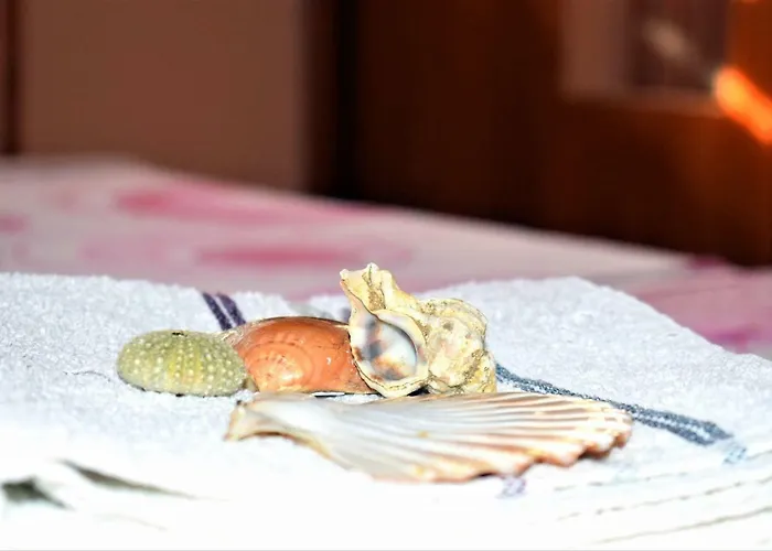 Luisa Apartamento Dobropoljana